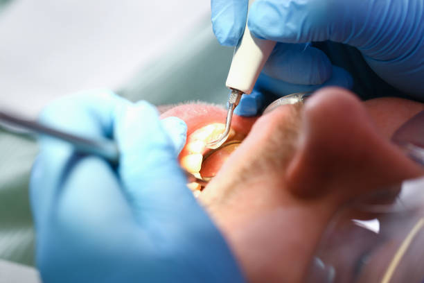 Best Dentist Open Late Near Me  in Crainvle, IL